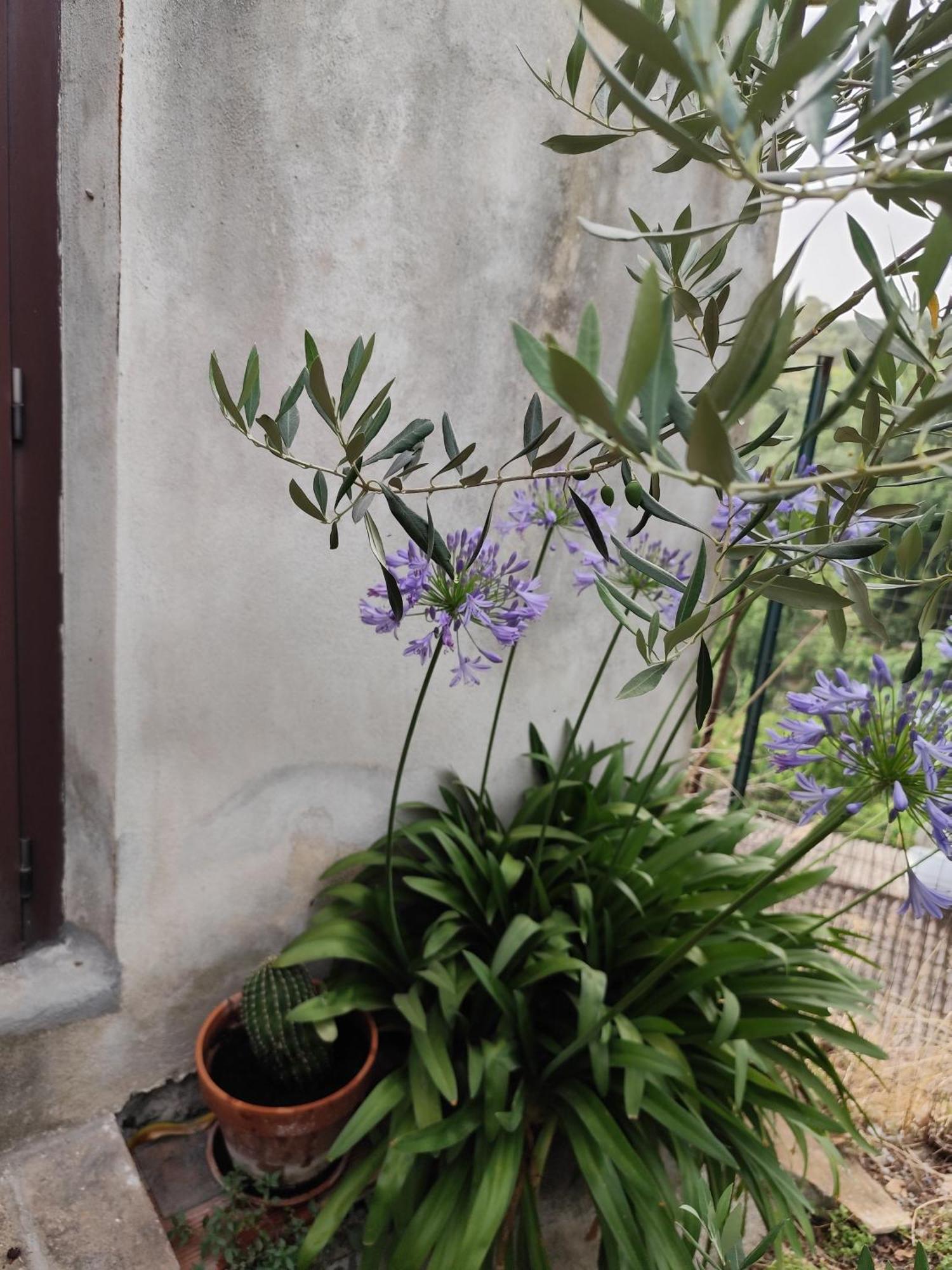 Villa Casa In Antico Borgo Medievale A Tarano Ri, Via Giacomo Leopardi, 15 Exterior foto